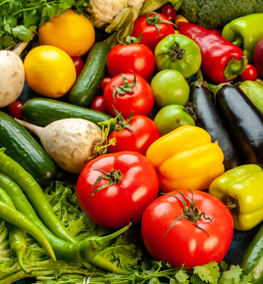 sairajagroin-gallery-2